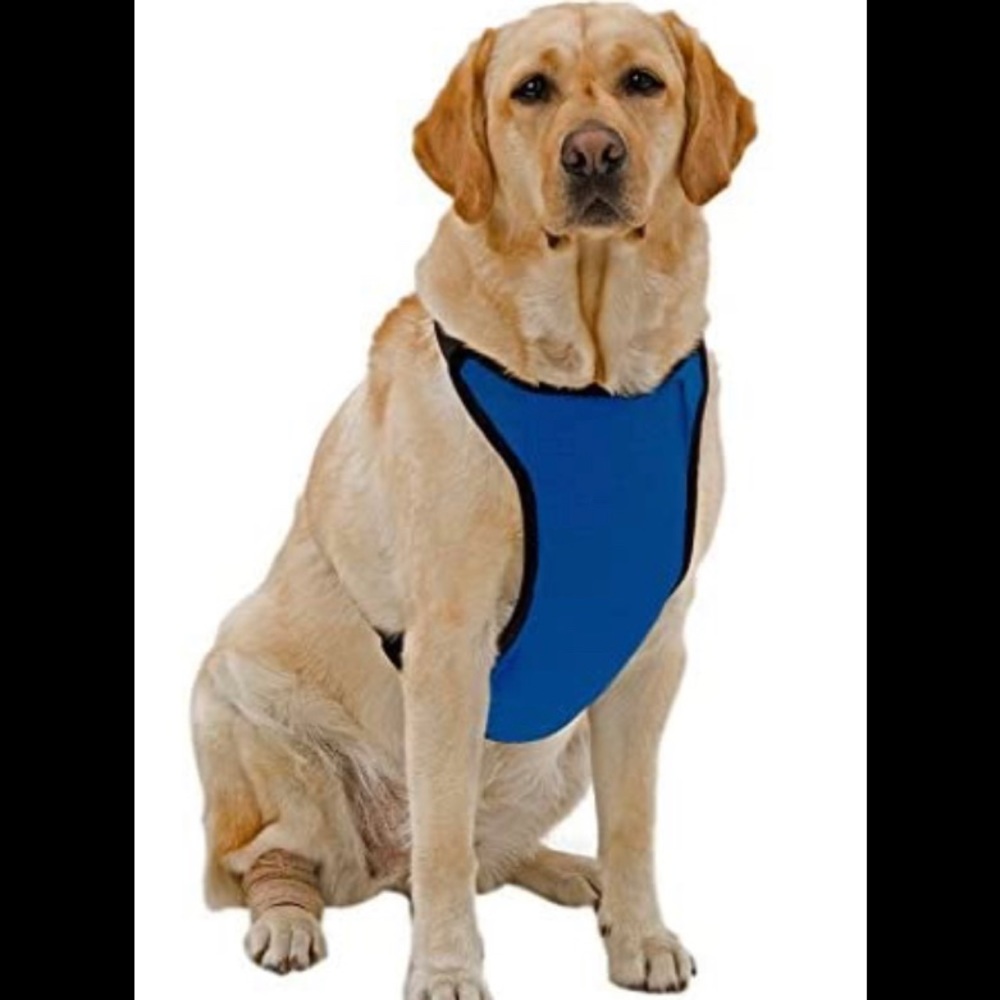 Kumfy Tailz™ Warming/Cooling Dog Harness- XXS (Blue)